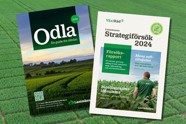 VäxtRåd - Strategiförsöken och Odla