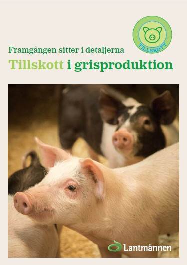 Tillskott i grisproduktion.pdf