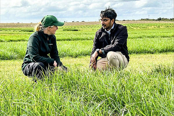 Linda och Aakash